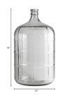 Tricor Braun B24 Clear 3 Gallon Glass Carboy