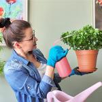 12 Pack 17 Oz Plastic Safety Wash Bottles