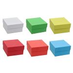 6-Color Cardboard Freezing Storage Boxes for Cryotubes