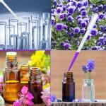 200PCS 3ML Disposable Transfer Pipettes for Labs