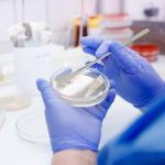 Stainless Steel Double-Ended Lab Spatula Set