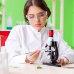 Stainless Steel Double-Ended Lab Spatula Set