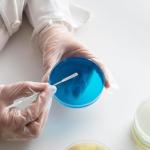 Stainless Steel Double-Ended Mini Spatula Set