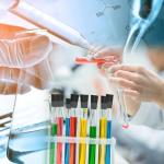 25Pcs Solid Rubber Stoppers Assorted Sizes Black