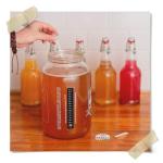 Kombucha pH Strips Dispenser 0-6 | 180 Strips
