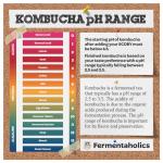 Kombucha pH Strips Dispenser 0-6 | 180 Strips