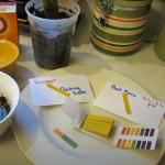 Universal pH Test Strips, 80 Count, 1-14 pH Range