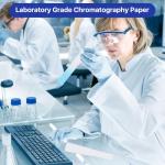 500 Pcs Chromatography Filter Paper Strips 6.3 x 0.79 In