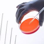 Young4us Glass Stirring Rods - 5 Pack, Multiple Sizes