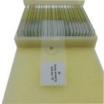 25-Piece Basic Histology Slide Set for Education