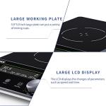 LACHOI 5.9" Magnetic Stirrer with LCD Display