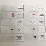 25-Piece Basic Histology Slide Set for Education