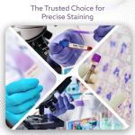 Wright-Giemsa Stain for Blood Smears - 500 mL