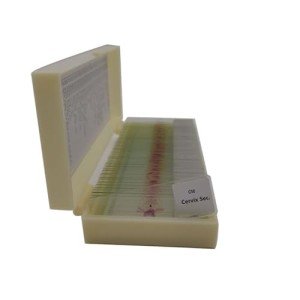 50-Piece Mixed Histology Prepared Microscope Slides Set