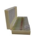 50-Piece Mixed Histology Prepared Microscope Slides Set
