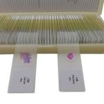 50-Piece Mixed Histology Prepared Microscope Slides Set