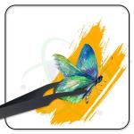 Entomology Forceps Set – Long & Short Points