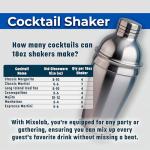 Stainless Steel 18oz Martini Cocktail Shaker