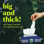 Flushable Plant-Based Wipes - Aloe, 240 Count