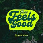 Goodwipes Aloe Body Wipes – Large Hypoallergenic Wipes