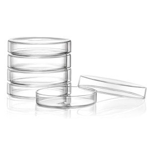 90mm Glass Petri Dishes with Lids - 5 Pack