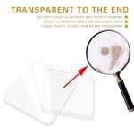 Sterile Square Polystyrene Petri Dishes, 10 Pack