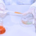 Sterile Petri Dishes - Pack of 10 (90mm)