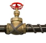 BriskHeat 6ft Self-Regulating Water Pipe Heating Cable