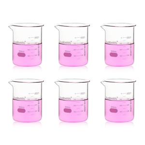 Labvida 6pc 500ml Thick Glass Beaker Set