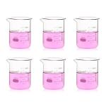 Labvida 6pc 500ml Thick Glass Beaker Set