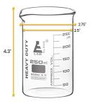 EISCO 250ml Heavy Duty Borosilicate Beaker