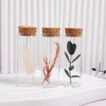 10-Pack Borosilicate Glass Test Tubes with Corks