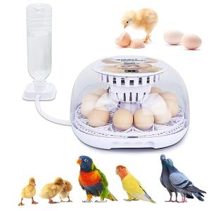 Digital Egg Incubator for Hatching 12 Eggs