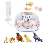 Digital Egg Incubator for Hatching 12 Eggs