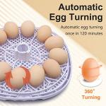 Digital Egg Incubator for Hatching 12 Eggs