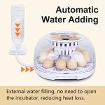 Digital Egg Incubator for Hatching 12 Eggs