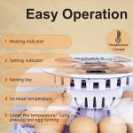 Digital Egg Incubator for Hatching 12 Eggs