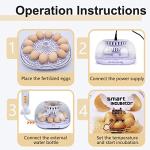 Digital Egg Incubator for Hatching 12 Eggs