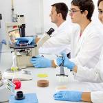 OLYCRAFT Cork Stand for Round Bottom Flasks