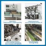 Kamoer DIPump-KK300 High Flow Peristaltic Pump