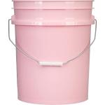 5 Gallon Pink Food Grade Bucket with Lid (2 Pack)