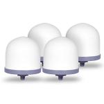 Ceramic Dome Water Filter Set for Purification