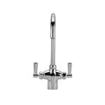Zurn Z826B1-XL Chrome Double Laboratory Faucet
