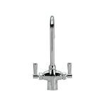 Zurn Z826B1-XL Chrome Double Laboratory Faucet