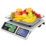 Digital Food Scale with Price Calculator for Retail