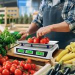 Digital Food Scale with Price Calculator for Retail