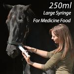 250ml Large Syringe with Cap - 4 Pack