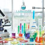 250ml Large Syringe with Cap - 4 Pack