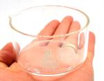 Borosilicate 100ml Crystallizing Dish with Spout