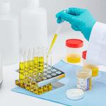 Globe Scientific LDPE Transfer Pipets, 500 Count